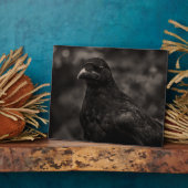 De zoeker fotoplaat (Zijkant)