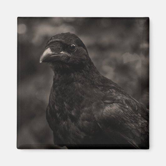 De zoeker magneet (Voorkant)