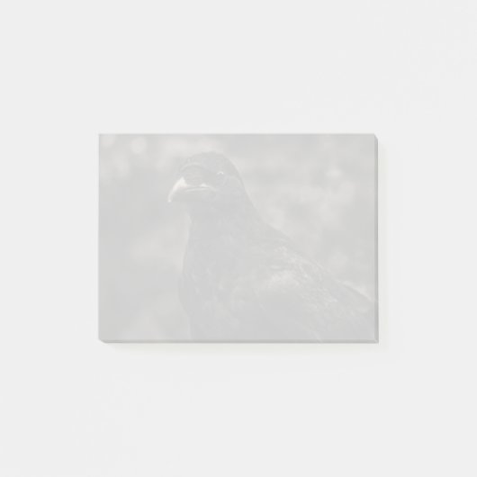 De zoeker post-it® notes (Voorkant)