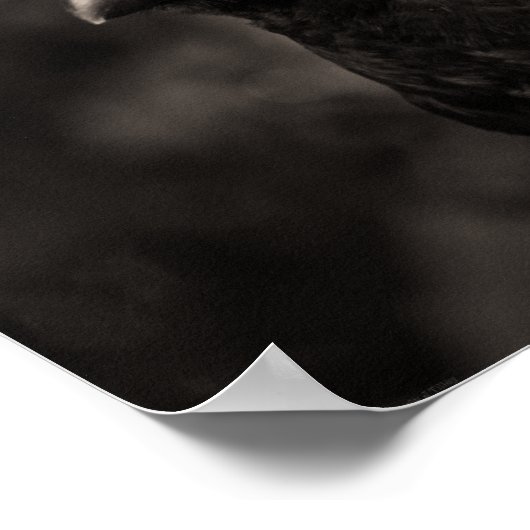 De zoeker poster (Hoek)