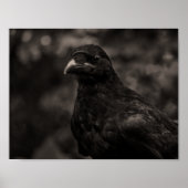 De zoeker poster (Voorkant)