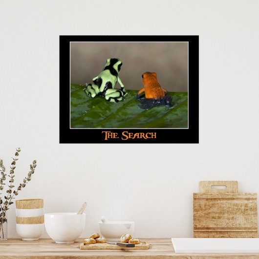 De zoekopdracht poster (Keuken)