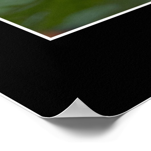 De zoekopdracht poster (Hoek)