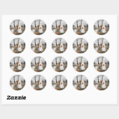 De zoekopdracht ronde sticker (Vel)
