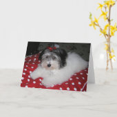 DE ZOETE KAARTEN VAN DE NOTA VAN BROOKLYN (Gele Bloem)