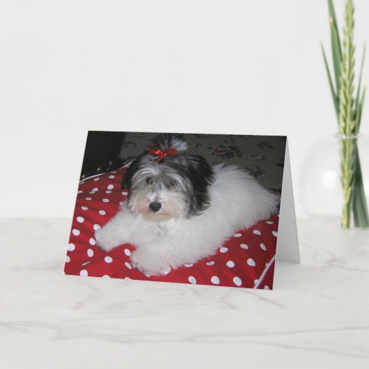 DE ZOETE KAARTEN VAN DE NOTA VAN BROOKLYN (Voorkant)