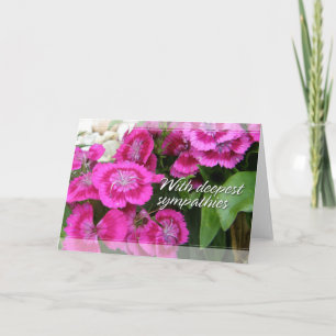 De zoete Kaarten van de Sympathie van Williams