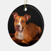 De zoete Pitty Keramisch Ornament (Links)