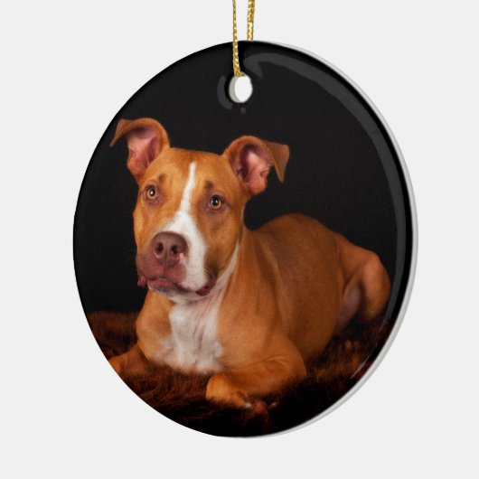 De zoete Pitty Keramisch Ornament (Links)