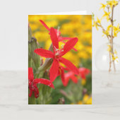 de zomer bloemen - koninklijke silene kaart (Gele Bloem)