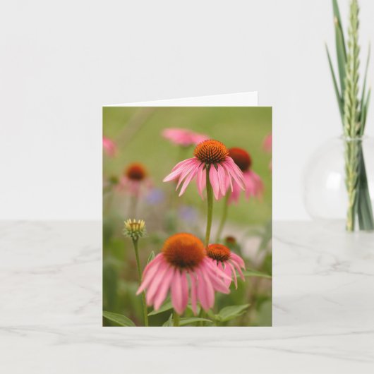 De zomer in Bohemen Kaart (Voorkant)