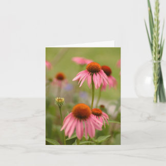 De zomer in Bohemen Kaart