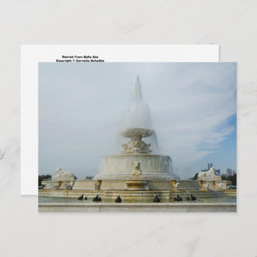 de zomer in de woestijn briefkaart (Voorkant / Achterkant)