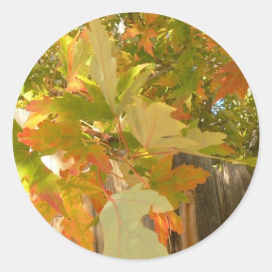 De zomer is weg ronde sticker (Voorkant)