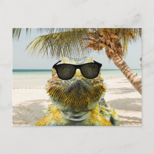 De zomer komt eraan briefkaart