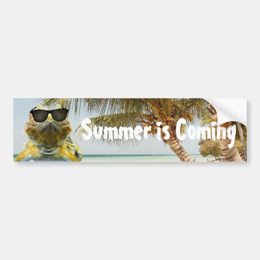 De zomer komt eraan bumpersticker (Voorkant)