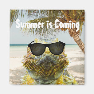 De zomer komt eraan magneet