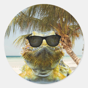 De zomer komt eraan ronde sticker