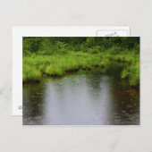 De Zomer van 2016 van regendruppels Briefkaart (Voorkant / Achterkant)