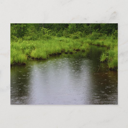 De Zomer van 2016 van regendruppels Briefkaart (Voorkant)