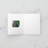 De Zomer van de Glorie van de ochtend bloeit Leeg Kaart (Binnen)