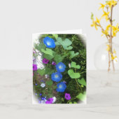 De Zomer van de Glorie van de ochtend bloeit Leeg Kaart (Gele Bloem)