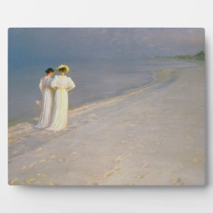 De zomeravond op de zuidkust van Skagen Fotoplaat