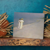 De zomeravond op de zuidkust van Skagen Fotoplaat (Zijkant)