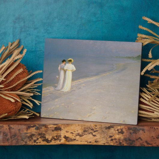 De zomeravond op de zuidkust van Skagen Fotoplaat (Zijkant)