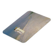 De zomeravond op de zuidkust van Skagen Magneet (Linkerzijde)