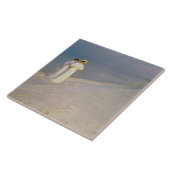 De zomeravond op de zuidkust van Skagen Tegeltje (Zijkant)