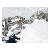 De zomerdooi foto afdruk (Voorkant)