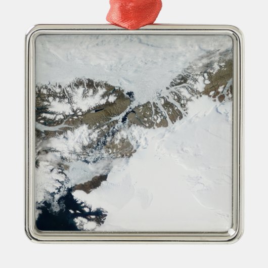 De zomerdooi metalen ornament (Voorkant)