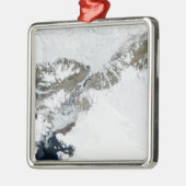 De zomerdooi metalen ornament (Links)