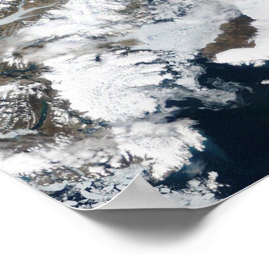 De zomerdooi poster (Hoek)