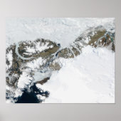 De zomerdooi poster (Voorkant)