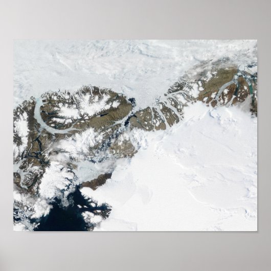 De zomerdooi poster (Voorkant)