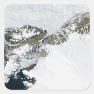 De zomerdooi vierkante sticker