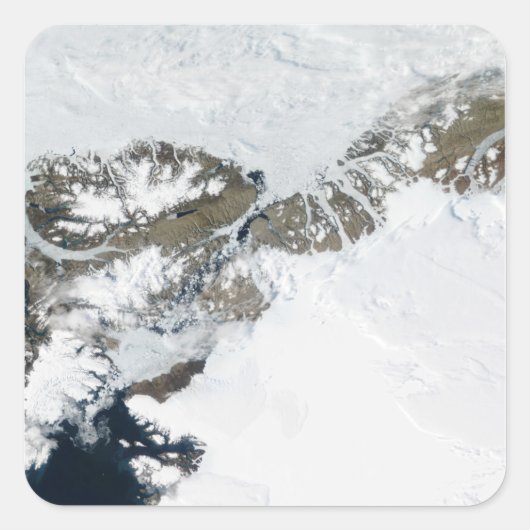 De zomerdooi vierkante sticker (Voorkant)