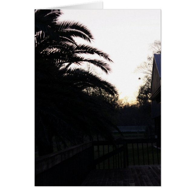 De zon bekijken (Voorkant)