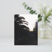 De zon bekijken briefkaart (Staand voorkant)