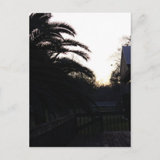 De zon bekijken briefkaart