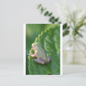 De zon bekijken briefkaart (Staand voorkant)