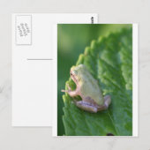 De zon bekijken briefkaart (Voorkant / Achterkant)