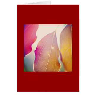 De zon door de bladeren