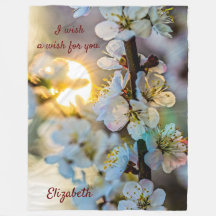 De zon en Japanse abrikozenbloemen