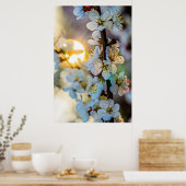 De zon en Japanse abrikozenbloemen Poster (Keuken)