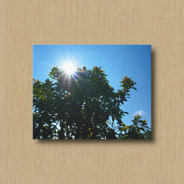 De Zon en Zijn Stralen Over een Boom Canvasprint Canvas Afdruk
