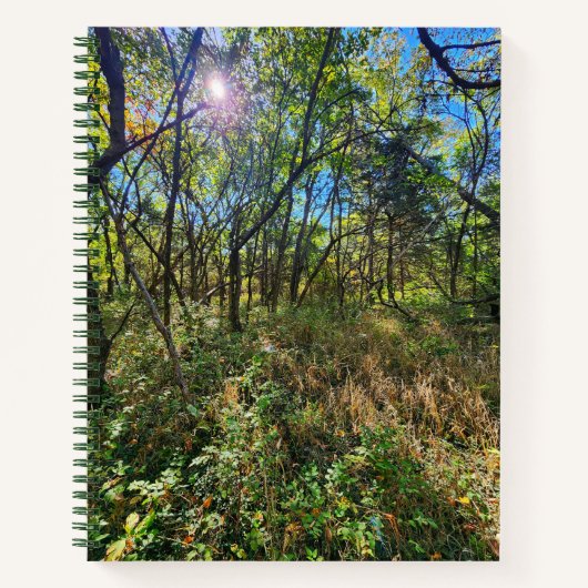 De zon in de bomen College-Reign Notitieboek (Voorkant)
