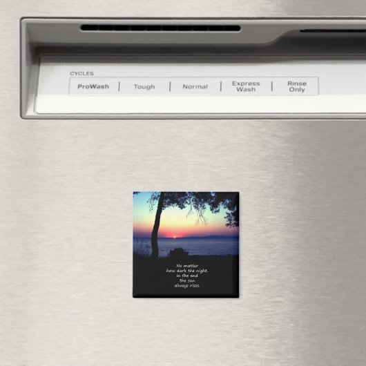 De zon komt altijd op magneet (Insitu (Vaatwasser))